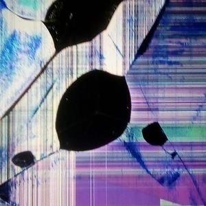 Meet your Posher, Tamara